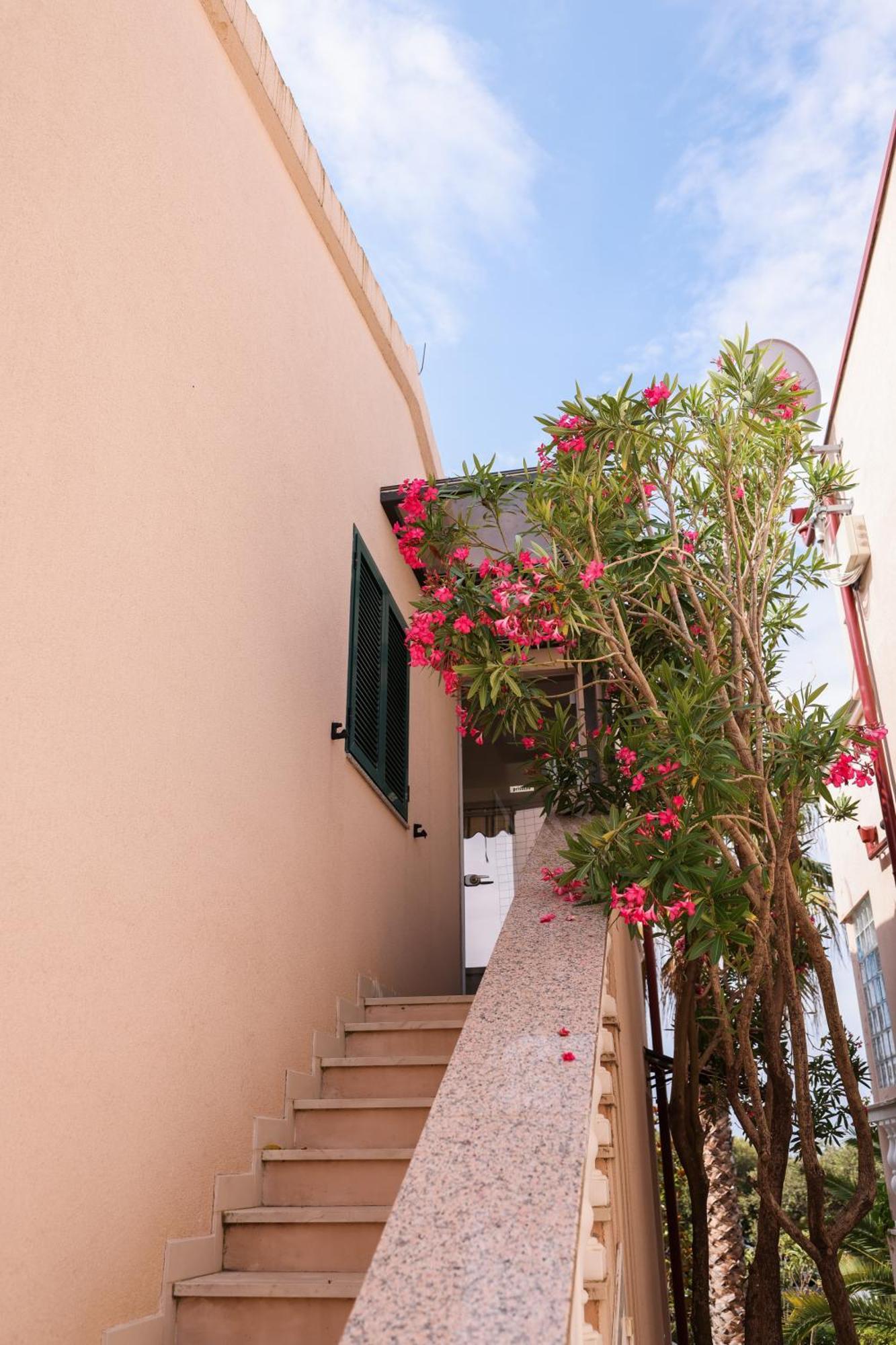 Apartment Malic Petrcane